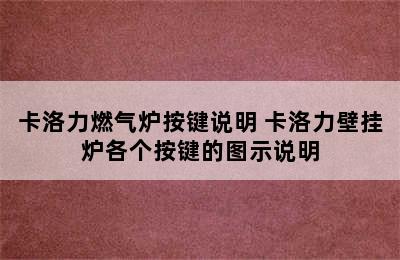 卡洛力燃气炉按键说明 卡洛力壁挂炉各个按键的图示说明